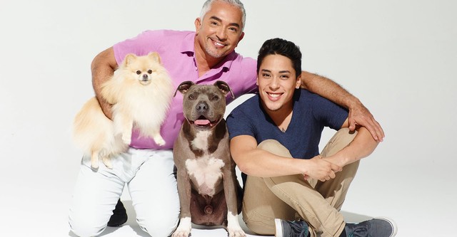 Cesar Millan's Dog Nation