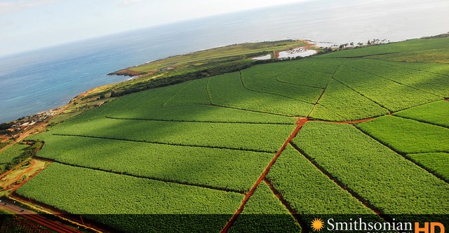 La Nouvelle-Zélande - Un paradis sur terre