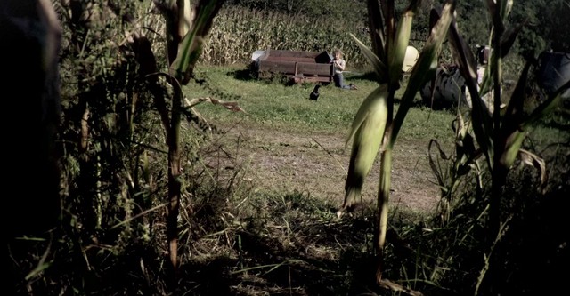 Campos de sangre