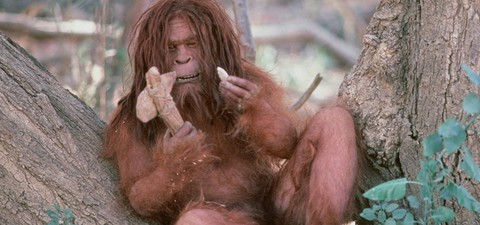 Missing Link