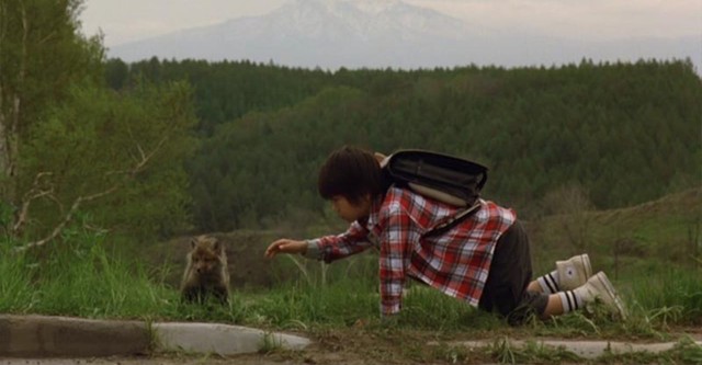 Tom et le petit renard