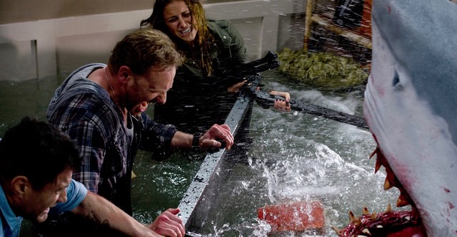 Sharknado streaming: where to watch movie online?