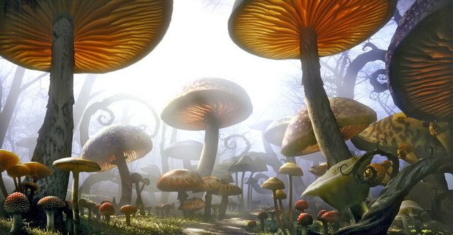 Alice au Pays des Merveilles