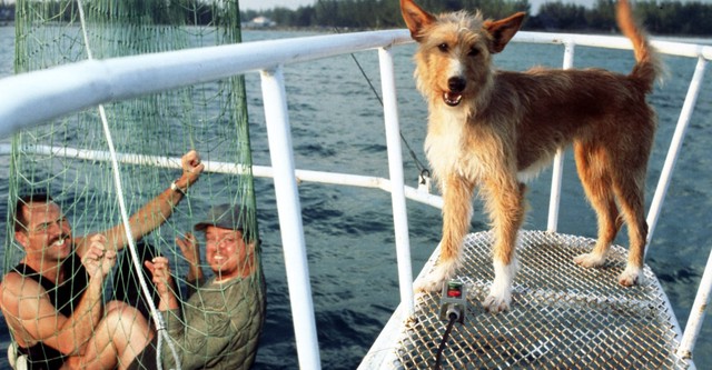 Zeus i Roksana - streaming: gdzie obejrzeć online?