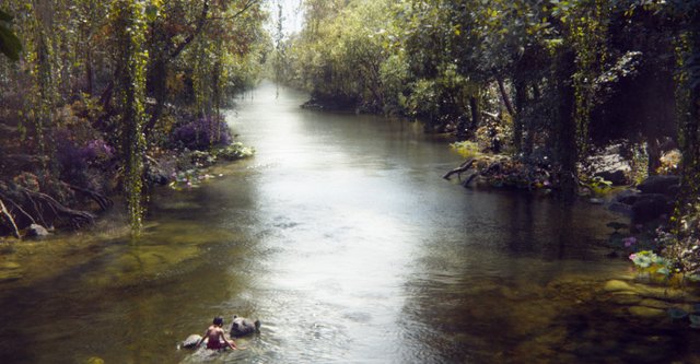 El libro de la selva