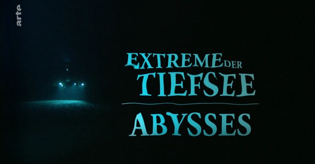 Extreme der Tiefsee – Eisige Abgründe