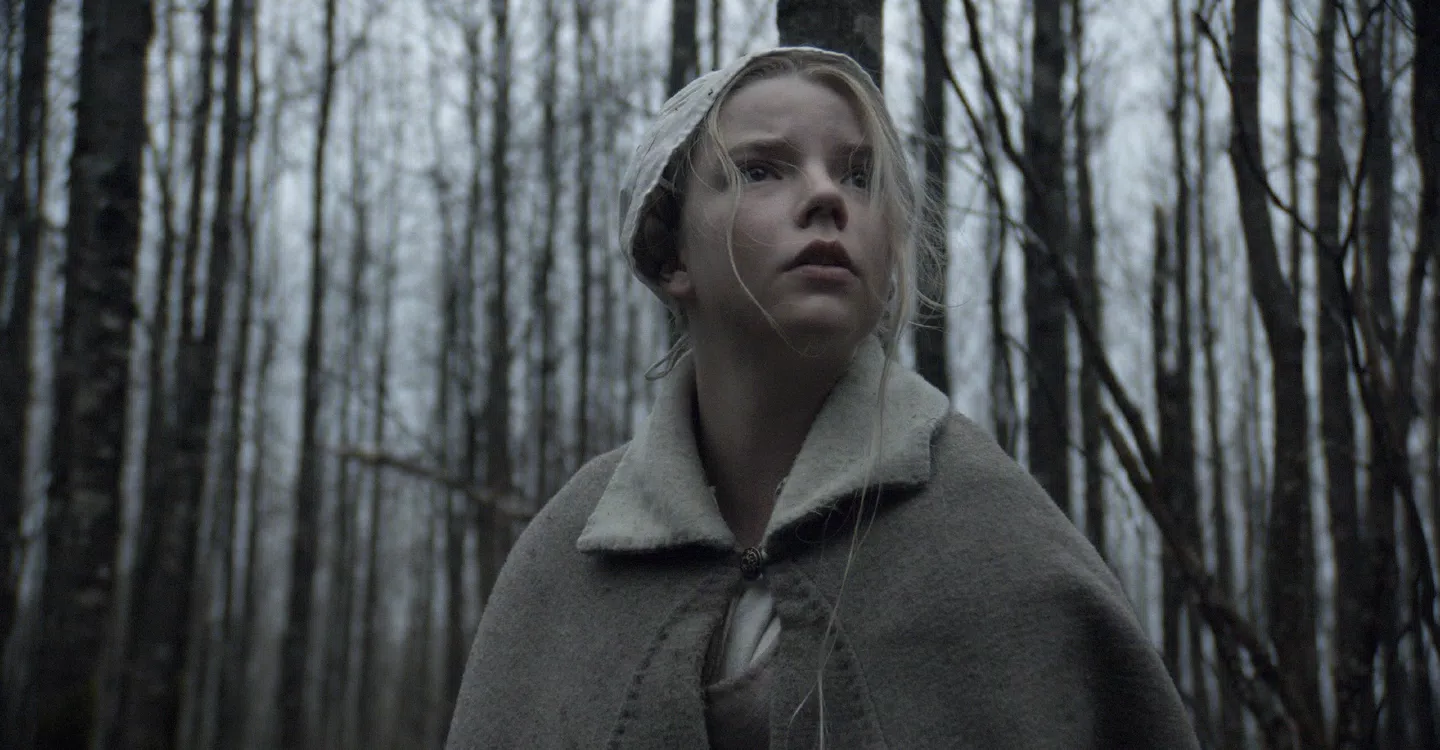 Every Robert Eggers Movie Ranked and Where to Watch Them
