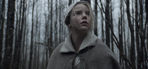 Robert Eggers Filme - Auf welchen Streaming Plattformen kann ich sie sehen?