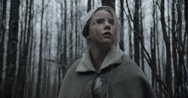 Robert Eggers : après “Nosferatu”, sur quelles plateformes regarder les précédents films du réalisateur ?
