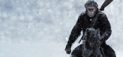 10 Movies to Watch If You Liked Kingdom Of The Planet of The Apes (And Where To Stream Them)