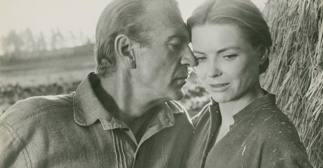 La legge del Signore