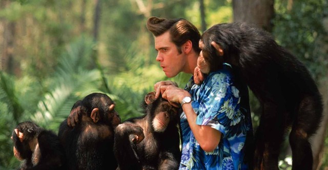 Ace Ventura - Jetzt wird's wild