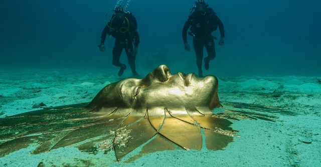 Treasures from the Wreck of the Unbelievable