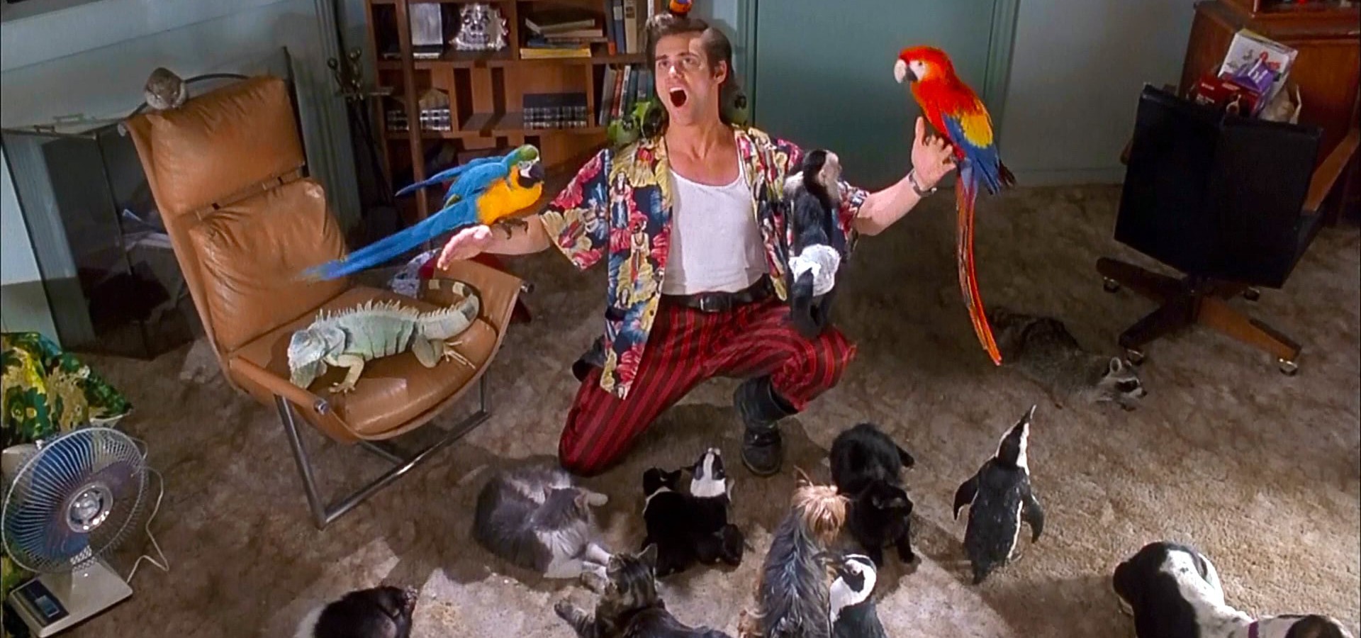 Ace Ventura Pet Detective