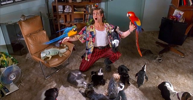 Ace Ventura: Pet Detective