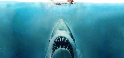 How to Watch the Very Best Shark Movies Online: From Jaws to Sharknado