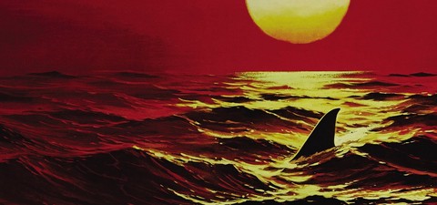 50 ans des « Dents de la mer » : 10 films de requins à voir absolument !
