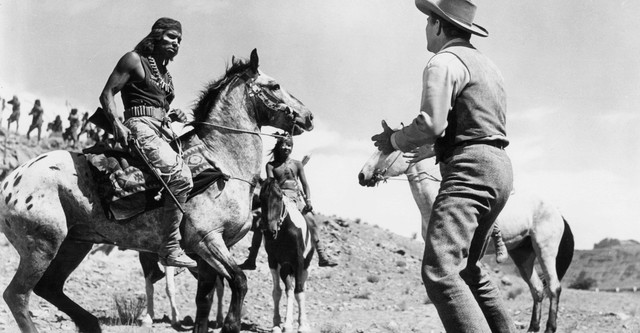 The Battle at Apache Pass