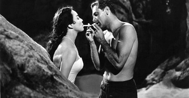 Alle Herrlichkeit auf Erden