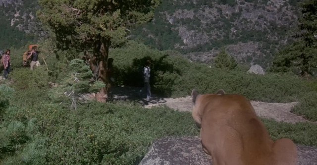 Panik in der Sierra Nova