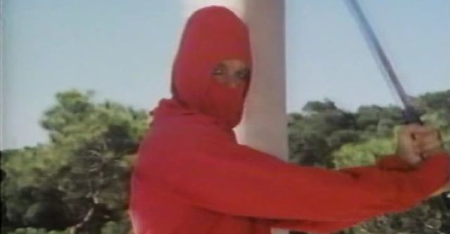 Ninja Warriors