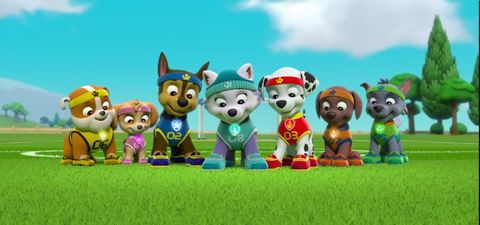 Where to Watch Every Entry in the PAW Patrol Franchise