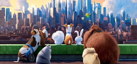 Where to Watch the Best Dog Movies Ever Made: From 'Beethoven' to 'Homeward Bound'