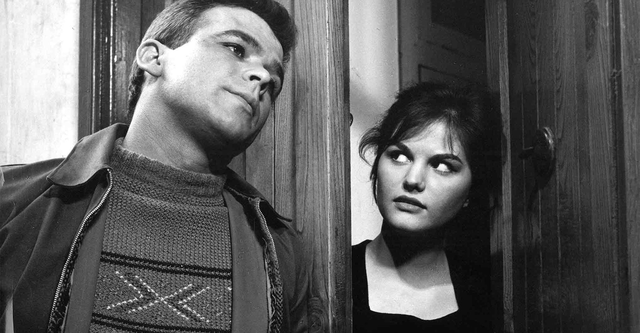 Da “I soliti ignoti” a “Quo vado?”: i 10 migliori film per conoscere la storia della commedia italiana