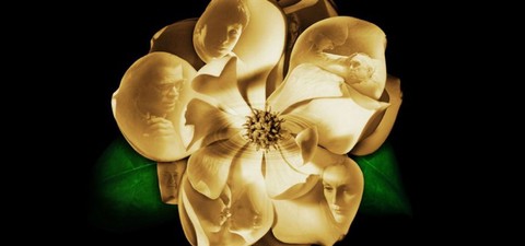 I 10 migliori film drammatici di sempre da vedere almeno una volta nella vita