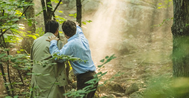 El bosque de los sueños