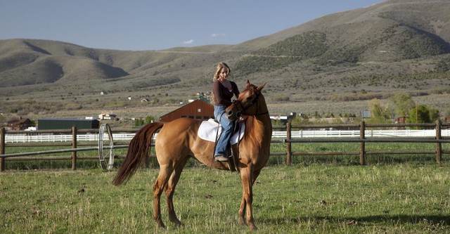 Cabalgando hacia una nueva vida