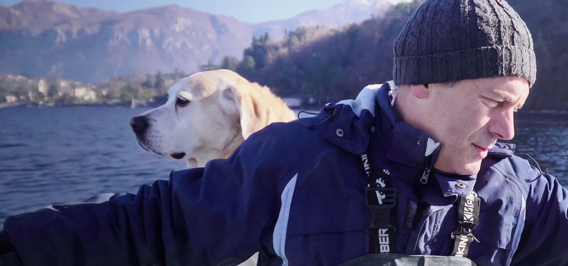 Dogs - watch tv show streaming online