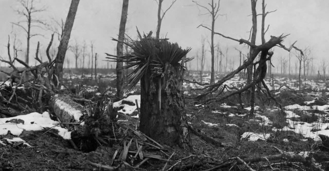 Le rouge et le gris, Ernst Jünger dans la grande guerre