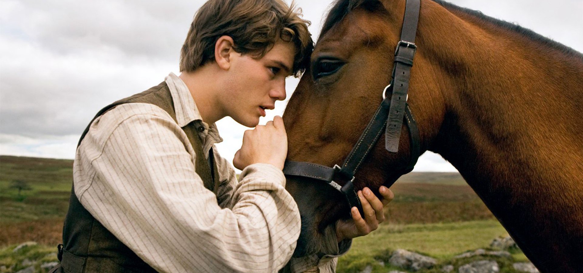 Cheval De Guerre Streaming Vf Regarder Cheval de guerre en streaming complet