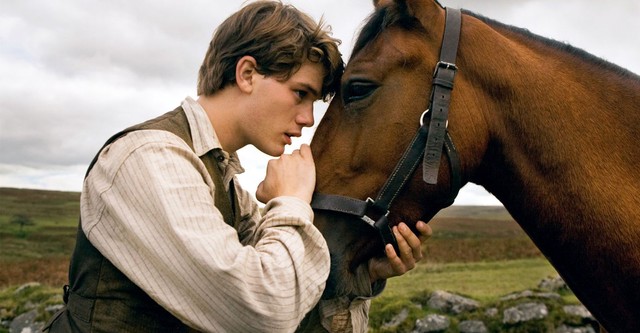 War Horse