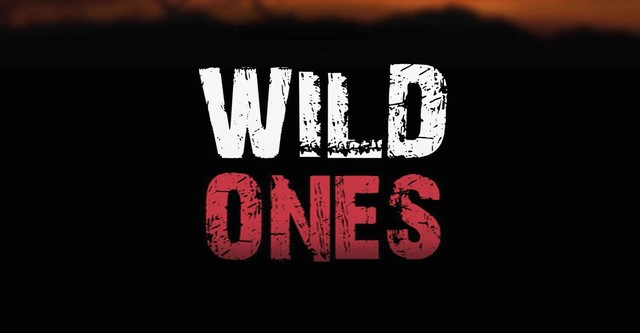 Wild Ones - Junge Helden