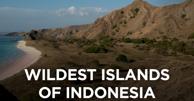 Najdziksze wyspy Indonezji