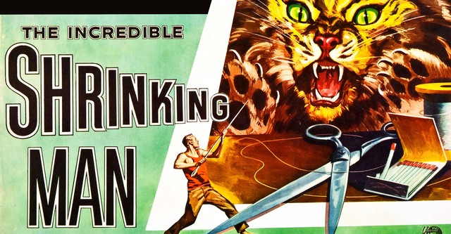 놀랍도록 줄어든 사나이