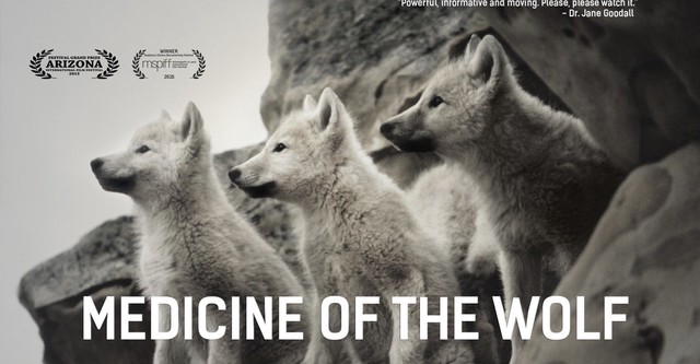 Medicine of the Wolf