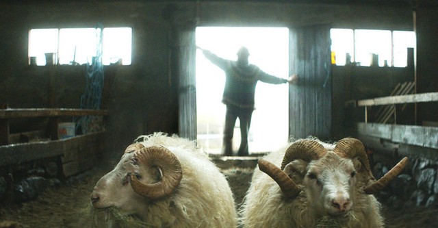 Rams