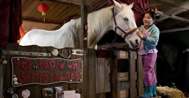 Mais où est le cheval de Saint-Nicolas?