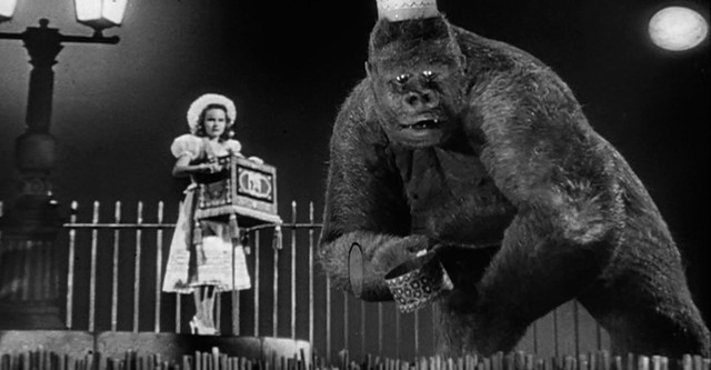 Mighty Joe Young movie: watch streaming online