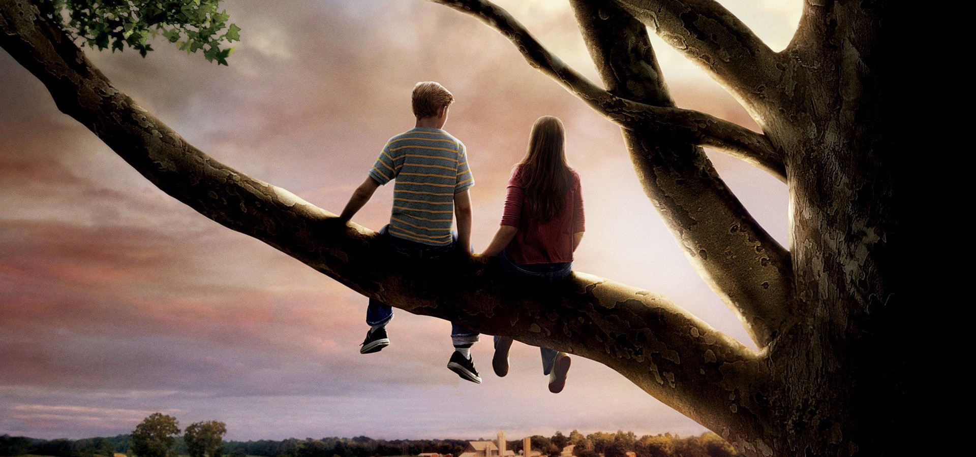 Flipped - película: Ver online completas en español