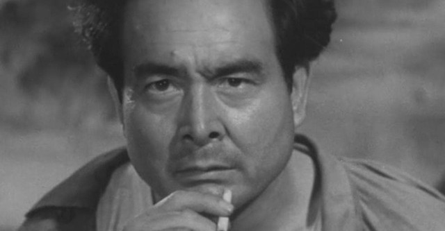 Fireworks Over the Sea