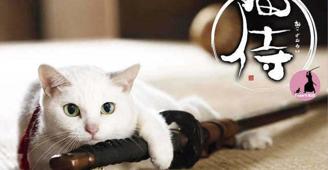 Samurai Cat 2: A Tropical Adventure streaming