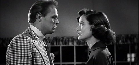 Las 10 mejores películas de lucha libre y dónde verlas