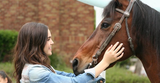 A Cowgirl's Story