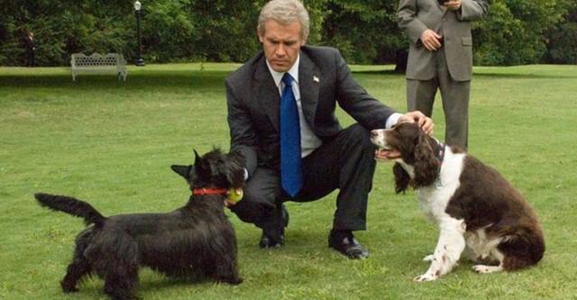 George W. Bush