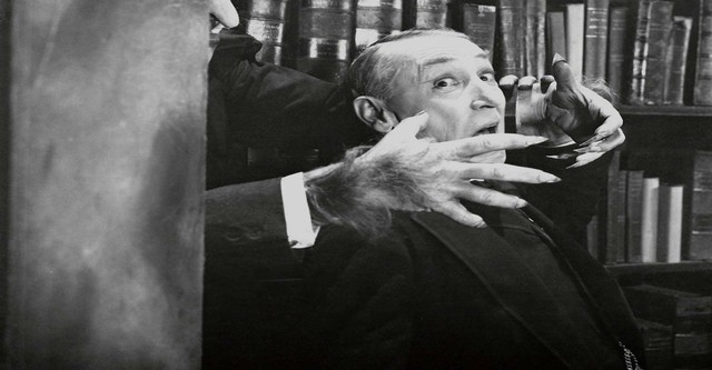 Кот и канарейка