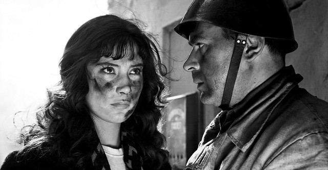 鶴は翔んでゆく